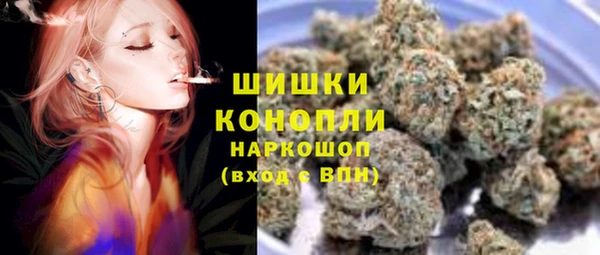 ГАЛЛЮЦИНОГЕННЫЕ ГРИБЫ Алзамай