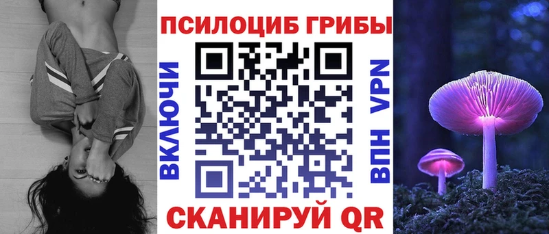 купить наркотики цена  Щигры  hydra tor  Галлюциногенные грибы GOLDEN TEACHER 
